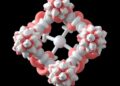 Protein-Foldamer Building Blocks Enable Self-Assembling Hybrid Architectures