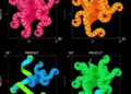 ProteinDPO Aligns Protein-Generating Models with Experimental Fitness Measurements