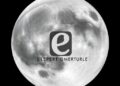 RIS-MoE Secures Robust Image Steganography Through Latent Optimization and Expert Denoising