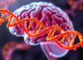 RNA Modification Sheds New Light on Environment-Linked Neurodegeneration