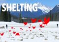 Red List Models Underestimate Climate Extinction Risks for Range-Shifting Species