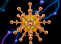 Researchers reveal guiding principles for electrochemical synthesis of multimetallic nanocrystals