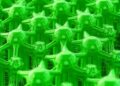 Review Examines Organic, Biodegradable Reinforcements in PBS-Based Green Composites