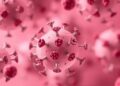 Review Identifies Testable Framework for Hidden Genotype D Hepatitis B Mutation Clusters