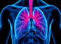 Review outlines emerging directions in pulmonary arterial hypertension research
