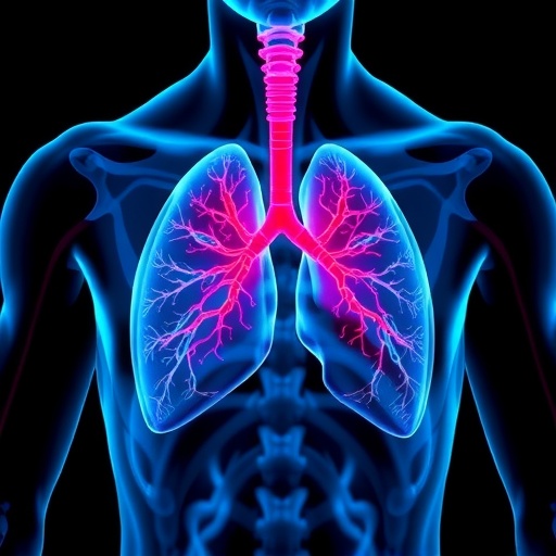 Review outlines emerging directions in pulmonary arterial hypertension research