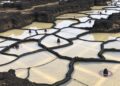 Rewetting Severely Burned Peatlands May Deliver Surprising Climate Benefits