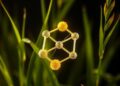 Rice husk nanocomposite breaks down toxic benzene and toluene using visible light