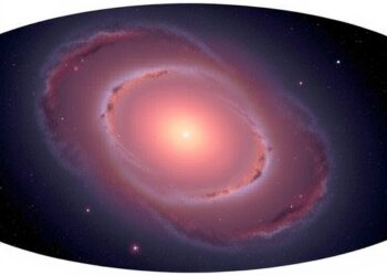 SDSS-V Maps the Galaxy With New All-Sky Spectra, Including Southern Hemisphere Firsts