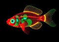 Scientists Image Neuronal Voltage Across Entire Larval Zebrafish Brains
