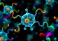 Scientists characterize genetic variants across the human intrinsically disordered proteome