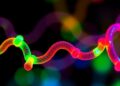 Scientists develop general strategy for multicolor fluorogenic peptides enabling wash-free bioassays