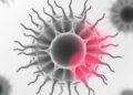 Scientists develop reporter strain to detect inhibition of bacterial cell-wall biosynthesis