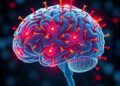 Scientists discover the brain can repair itself more extensively than previously believed