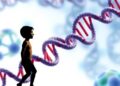 Scientists uncover evolutionary history of gene associated with neurodevelopmental conditions