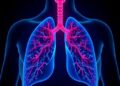 Scientists uncover how natural products may combat chronic obstructive pulmonary disease