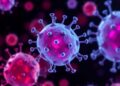 Scientists uncover new vulnerability in acute myeloid leukemia
