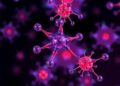 Self-Assembled Affibody-PROTAC Nanomedicine Targets Cancer Cells