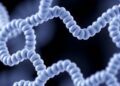 Self-Assembling Peptides Create α-Helical Nanopores for Ultrasensitive Biomarker Profiling