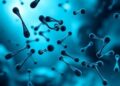Sex differences in sepsis treatment responses revealed by preclinical meta-analysis
