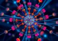 Signals Recruit and Dispatch Components Across Reconfigurable Phase-Separated Protocell Networks