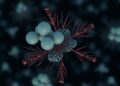 Soil Microbes Commonly Depend on Metabolite Cross-Feeding
