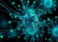 SpatialFormer Enables Universal Spatial Learning Across Molecular and Multicellular Landscapes