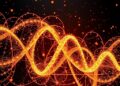 Stochastic Thermodynamics Reveals Social Imitation Beyond Energy Costs