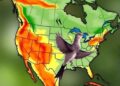 Study finds extreme weather increasingly predicts North American bird species distributions