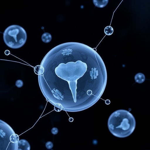 Study finds no clear IVF benefit from common embryo transfer techniques