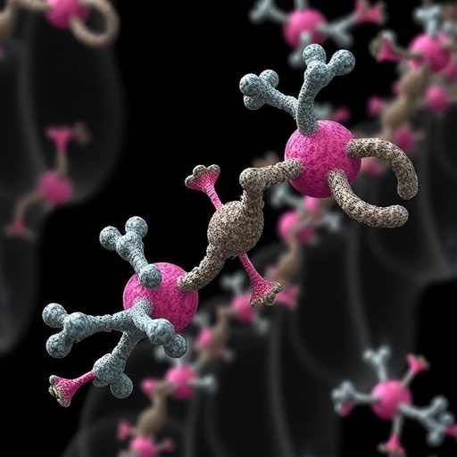 Synthetic pyrenoid reconstruction reveals EPYC1-driven carbon concentration mechanisms and evolution