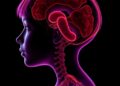 Systematic review finds DICER1 mutations in children and adolescents with thyroid cancer