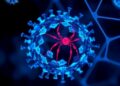 T Cells Mount Powerful Defense Against Zika Virus