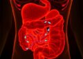 TNFR1 Connects Inflammation, Fatty Acid Oxidation Failure to Intestinal Stem Cell Aging