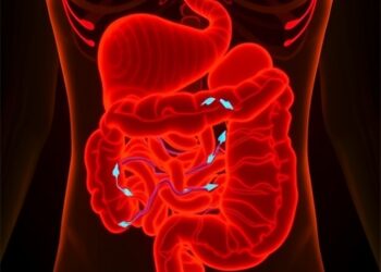 TNFR1 Connects Inflammation, Fatty Acid Oxidation Failure to Intestinal Stem Cell Aging