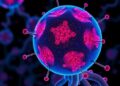 Targeting POLG Weakens Breast Cancer Stemness by Disrupting Mitochondrial Function