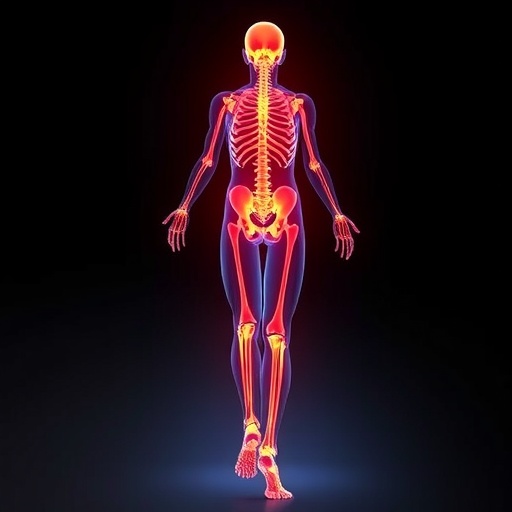 Targeting Vascular–Musculoskeletal Links May Treat Sarcopenia and Osteoporosis