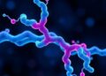 Teaching AI Antibody Biology Accelerates Drug Discovery