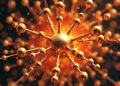 Tiny Particles Defy Action-Reaction Symmetry to Stay in Motion