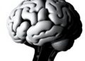 Transfer Learning Recalibrates Deployment Data for Better Survival Prediction Under Covariate Shifts
