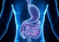 Turning Agro-Waste into Xylan Prebiotics Could Boost Gut Health