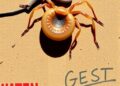 UC San Diego, County Track New World Screwworm Risk as Pest Returns