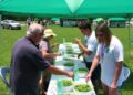 UTIA Hosts Southern Weed Science Society Weed Contest