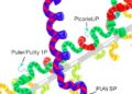 Universal Pipeline Enables High-Resolution GPCR Structure Determination