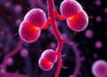 Urinary Exosomal microRNAs Reveal Kawasaki Disease Changes After Treatment