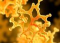 VITAL predicts peptide–protein interactions quantitatively while accounting for molecular interfaces