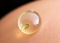 Wheatgrass extract nanoemulsion hydrogel enhances dermal targeting against skin cancer