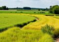 Where to Prioritize Cropland Restoration: Integrating Natural, Economic, and Spatial Stability