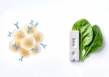 Yeast-Made Antibody Sharpens Rapid Tests for Crop Pesticide Residues