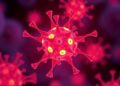 mRNA delivery system activates T cells for in-body CAR T generation